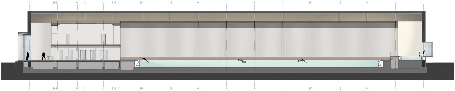 08 C sectiune longitudinala-PDF