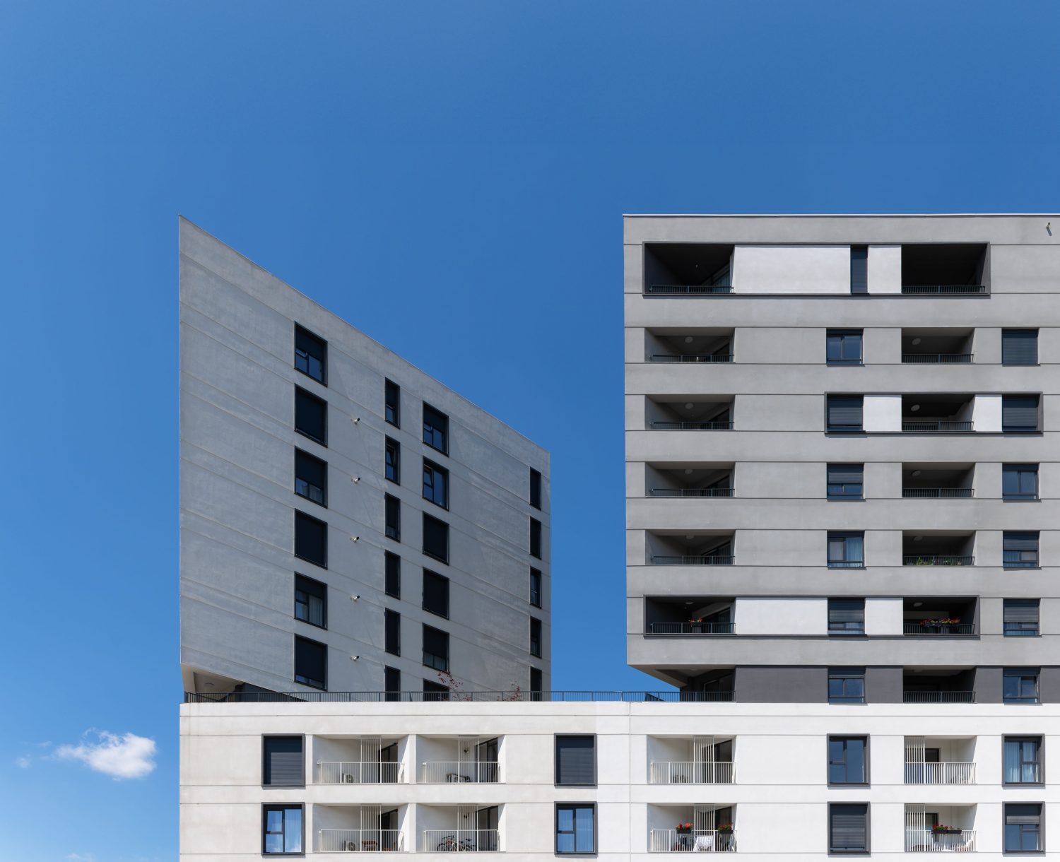 DSC_4090-Enhanced-NR